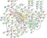 Elucidating mechano-pathology of osteoarthritis: transcriptome-wide differences in mechanically stressed aged human cartilage explants - Arthritis ...