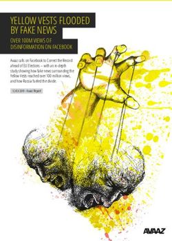 YELLOW VESTS FLOODED BY FAKE NEWS - OVER 100M VIEWS OF DISINFORMATION ON FACEBOOK