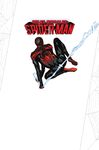25 AHMED CARNERO CURIEL - Spider Man Crawlspace