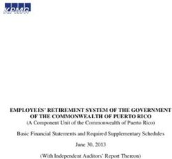 EMPLOYEES' RETIREMENT SYSTEM OF THE GOVERNMENT OF THE COMMONWEALTH OF PUERTO RICO