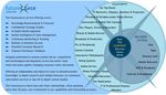 The Strategic Impact of 4K on the Entertainment Value Chain - December 2012 - WikiLeaks