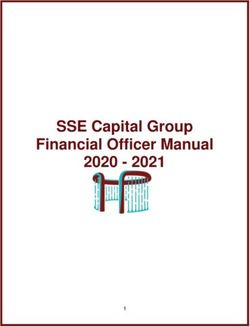 SSE Capital Group Financial Officer Manual 2020 2021