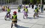 The Bikeable City Masterclass - Postponed to May 16-20, 2022 in Copenhagen - Cycling Embassy of Denmark