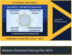 Wicklow Divisional Policing Plan 2019 - Garda.ie