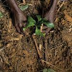 The Climate-Gender-Conflict Nexus - Amplifying women's contributions at the grassroots - Georgetown Institute for ...
