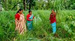 The Climate-Gender-Conflict Nexus - Amplifying women's contributions at the grassroots - Georgetown Institute for ...