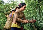 The Climate-Gender-Conflict Nexus - Amplifying women's contributions at the grassroots - Georgetown Institute for ...