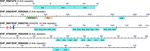 Comparative Analysis of Genome of Ehrlichia sp. HF, a Model Bacterium to Study Fatal Human Ehrlichiosis