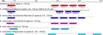 Comparative Analysis of Genome of Ehrlichia sp. HF, a Model Bacterium to Study Fatal Human Ehrlichiosis
