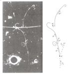 Standard Model (SM) of Particle Physics - Overview: components of the SM Giving Mass to the Intermediate Vector Bosons Key Experiments ...
