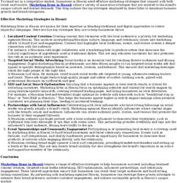 Top Strategies Used by Marketing Firms in Hawaii