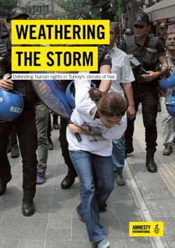 WEATHERING THE STORM Defending human rights in Turkey's climate of fear - Amnesty International
