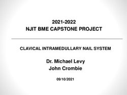 NJIT BME CAPSTONE PROJECT - 2021-2022 Dr. Michael Levy John Crombie CLAVICAL INTRAMEDULLARY NAIL SYSTEM