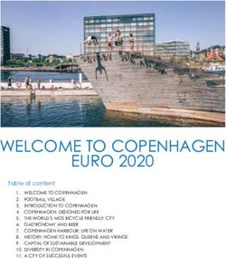 WELCOME TO COPENHAGEN EURO 2020
