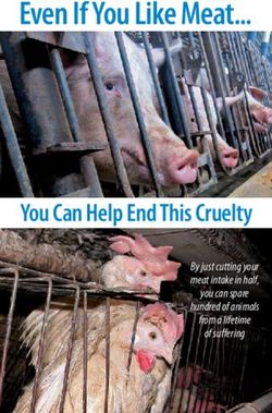 Even If You Like Meat - You Can Help End This Cruelty By just cutting your meat intake in half