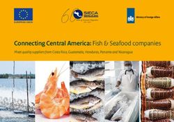 Connecting Central America: Fish & Seafood companies - Meet quality suppliers from Costa Rica, Guatemala, Honduras, Panama and Nicaragua