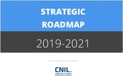 2019-2021 STRATEGIC ROADMAP