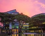 Master of Science in Management - MASTERS