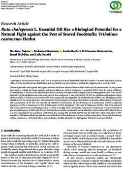 Ruta chalepensis L. Essential Oil Has a Biological Potential for a Natural Fight against the Pest of Stored Foodstuffs: Tribolium castaneum Herbst