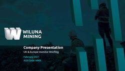 Company Presentation UK & Europe Investor Briefing - February 2021 ASX Code: WMX - Wiluna Mining Corporation
