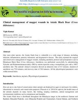 Clinical management of maggot wounds in Asiatic Black Bear (Ursus thibetanus)