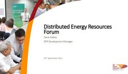 Distributed Energy Resources Forum - Steve Halsey DER Development Manager 20th September 2021 - UK Power Networks