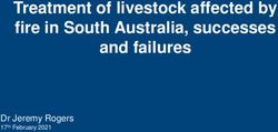 Treatment of livestock affected by fire in South Australia, successes and failures - Dr Jeremy Rogers