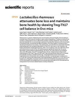 Lactobacillus rhamnosus attenuates bone loss and maintains bone health by skewing Treg Th17 cell balance in Ovx mice - Nature