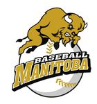 Hosting Provincial Championships: Guidelines and Responsibilities - Baseball Manitoba