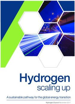 Hydrogen scaling up A sustainable pathway for the global energy transition - Hydrogen Council