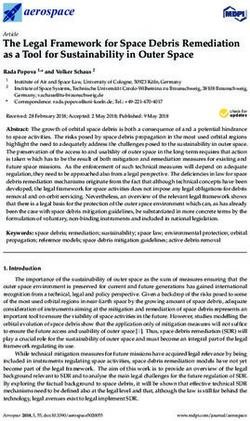 The Legal Framework for Space Debris Remediation as a Tool for Sustainability in Outer Space - REDSHIFT-H2020