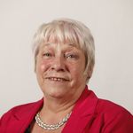 Looking ahead to the Scottish Government - Health Budget 2019-20: Is the budget delivering the desired outcomes for health and social care in ...