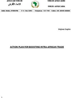 ACTION PLAN FOR BOOSTING INTRA AFRICAN TRADE - AFRICAN UNION