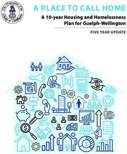 A PLACE TO CALL HOME A 10-year Housing and Homelessness Plan for Guelph-Wellington - Wellington County