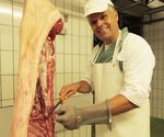 Guideline Salmonella Monitoring Pigs - QS Qualit&auml;t und ...