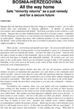 BOSNIA-HERZEGOVINA All the way home - Safe "minority returns" as a just remedy and for a secure future - Amnesty ...