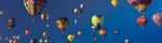 Pitt County Senior Center/COA - PML Travel & Tours