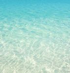 CIS PARADIGMS 2020-2021 - Digital asset management for teams