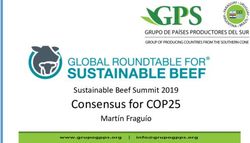 Consensus for COP25 Sustainable Beef Summit 2019 Mart&iacute;n Fragu&iacute;o - Global Roundtable for Sustainable Beef