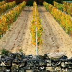 Full of flavours - Croatian Eno-Gastronomy - Don t fill your life with days, fill your days with life.