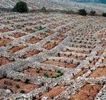 Full of flavours - Croatian Eno-Gastronomy - Don t fill your life with days, fill your days with life.