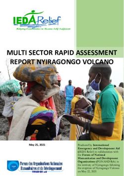 MULTI SECTOR RAPID ASSESSMENT REPORT NYIRAGONGO VOLCANO