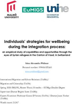 Individuals' strategies for wellbeing during the integration process
