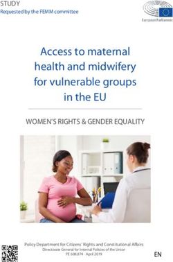 Access to maternal health and midwifery for vulnerable groups in the EU