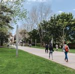 MORE THAN KNOWLEDGE UNDERGRADUATE GUIDE 2020 - UNSW