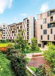MORE THAN KNOWLEDGE UNDERGRADUATE GUIDE 2020 - UNSW