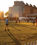 MORE THAN KNOWLEDGE UNDERGRADUATE GUIDE 2020 - UNSW