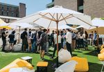 MORE THAN KNOWLEDGE UNDERGRADUATE GUIDE 2020 - UNSW