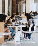 MORE THAN KNOWLEDGE UNDERGRADUATE GUIDE 2020 - UNSW