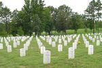 MEETING THE MEMORIAL NEEDS OF - AN ANALYSIS OF EXISTING AND PROPOSED CEMETERY SITES